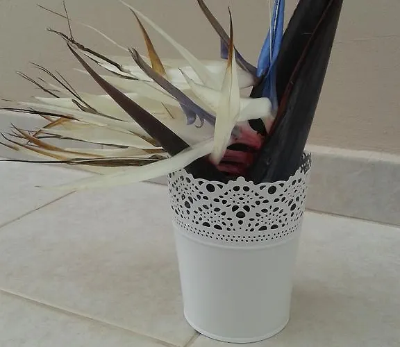 Сasa de vacaciones Marias Protaras