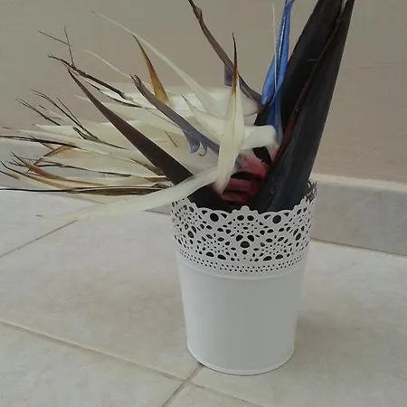 بيت للعطل Marias بروتاراس