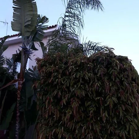 Marias Ferienhaus Protaras