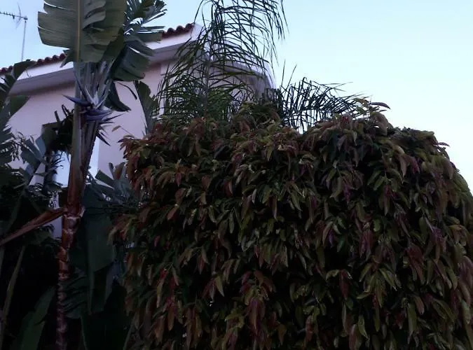 Marias 別荘 プロタラス